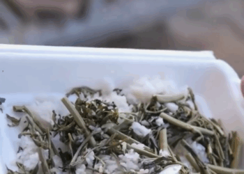 [ครบชุด] 1009085 ใครเอางบอาหารกลางวันคนงานไป