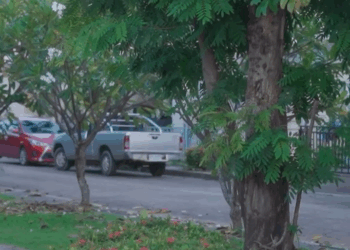 [ครบชุด] 2009193 แม่เป็นพนักงานล้างห้องน้ำ