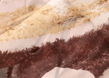 [ครบชุด] 2009199 111 อยากมีแฟนรุ่นลูก