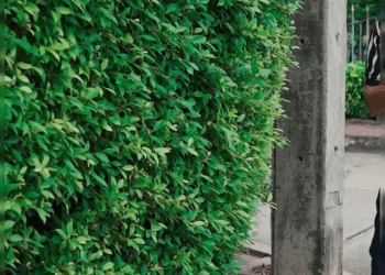 [ครบชุด] 1009363 พบชู้สามีที่อยู่ในบ้าน แม่นิดออนทัวร์