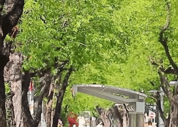 [ครบชุด] 2009217 ตกงานเพราะหวังดีไปไม่ทันเวลา ตาทิพย์