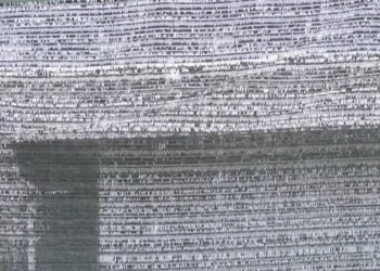 [ครบชุด] 2009220 แม่ยืมเงินลูก !! ได้ยังไง แต่งงานแยกครอบครัว