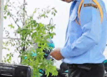 [ครบชุด] 2009223 หลงอำนาจดีนักสุดท้ายก็มากราบขอโทษ ตาทิพย์