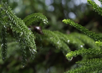 [ครบชุด] 2009374 ถ้าคุณอยากได้งาน ต้องทำตามที่ผมสั่ง