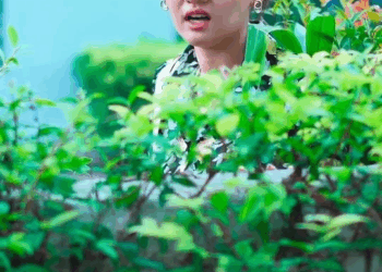 [ครบชุด] 1009153 บัวสี่เหล่า กว่าจะพ้นน้ำ มาย ปุณย์ปานวาด