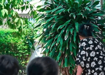 [ครบชุด] 1009262 มีแรงทำลูกได้ แต่ไม่มีแรงเลี้ยง มาย ปุณย์ปานวาด