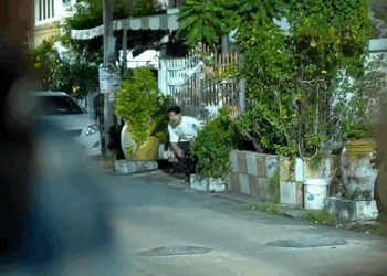 [ครบชุด] 2009371 หวังดีผิดที่