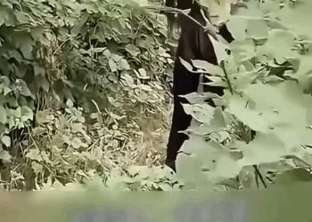 [ครบชุด] TQ09004 ความรักของชีวิตที่สูญเสียไป