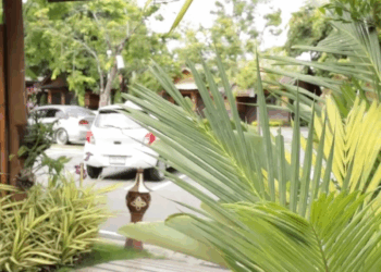 [ครบชุด] 2009365 128 อินฟลูปากเสีย