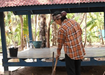 [ครบชุด] 1209017 สามีเก่ากลับมาขอยืมเงิน คุณจะให้ไหม กาลเวลา แชนแนล