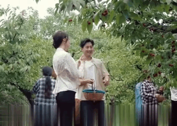 [ครบชุด] TQ09032 หมอหมู่บ้านผู้ไร้เทียมทาน