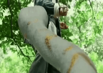 [ครบชุด] TQ09034 ราชางูขาวเทพภูเขา