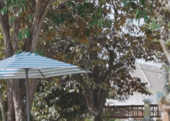 [ครบชุด] 2609113 ลูกชิ้นไม้ละ 5 บาท ถูกขนาดนี้