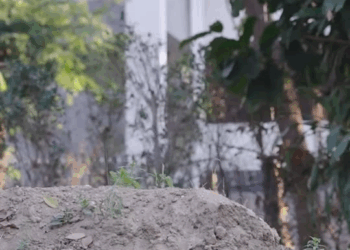 [ครบชุด] 2009039 เจ้านายแอบแซ่บลูกน้อง