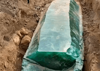 [ครบชุด] TQ09124 ฉันมีระบบโม้แล้วกลายเป็นจริง