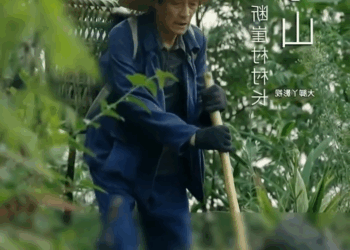 [ครบชุด] TQ113 นางเศรษฐีรับเลี้ยงเด็กเร่ร่อนเพราะเหตุนี้