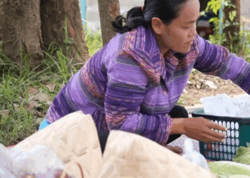 [ครบชุด] 1209111 ขายผัก ขว้างทางเดิน กาลเวลา สตูดิโอ