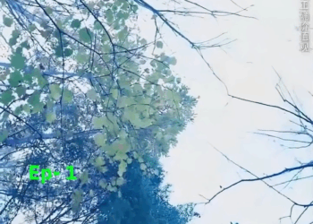 [ครบชุด] TQ09170 ภรรยาแย่งสมบัติ หลอกโลกด้วยมูลนิธิ จนสามีฟื้นมาเปิดโปงทุกอย่าง