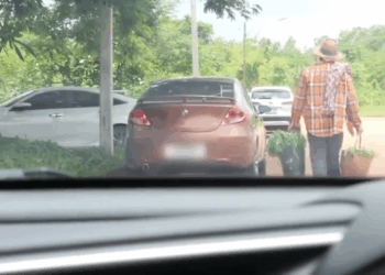 [ครบชุด] 1209219 เอาผักแบบนี้มาขายได้ยังไง คืนเงินฉันมาเลย กาลเวลา สตูดิโอ