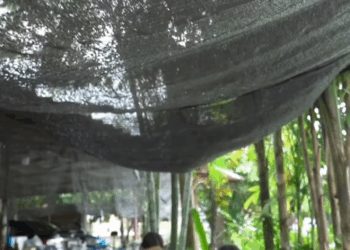 [ครบชุด] 1209224 ส่งแม่ไปบ้านพักคนชราเพราะฟังแต่คำเมีย