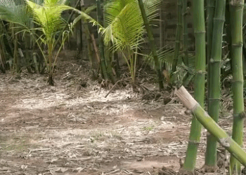 [ครบชุด] 1209225 ที่ดินตรงนี้ แม่จะยกให้ใคร กาลเวลา สตูดิโอ