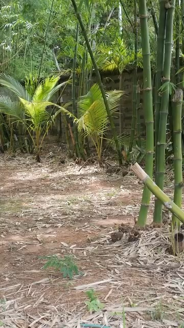 [ครบชุด] 1209225 ที่ดินตรงนี้ แม่จะยกให้ใคร กาลเวลา สตูดิโอ