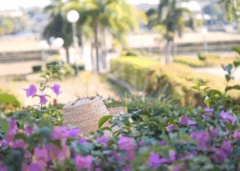 [ครบชุด] 1209137 น้องสาวผู้จัดการ โกงเงินคนสวน กาลเวลา สตูดิโอ