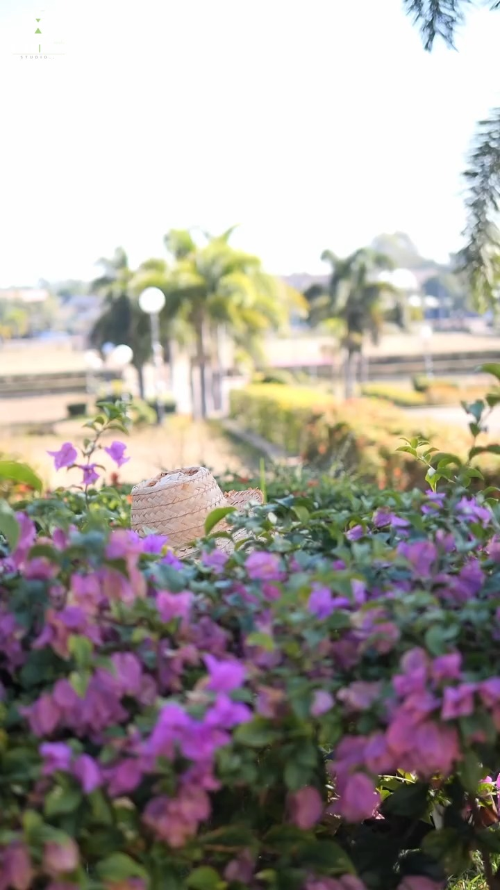 [ครบชุด] 1209137 น้องสาวผู้จัดการ โกงเงินคนสวน กาลเวลา สตูดิโอ