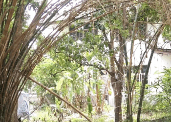 [ครบชุด] 1209252 สามีแบบนี้ กับแม่ คุณจะเลือกใคร เต็มรื่อง กาลเวลา สตูดิโอ