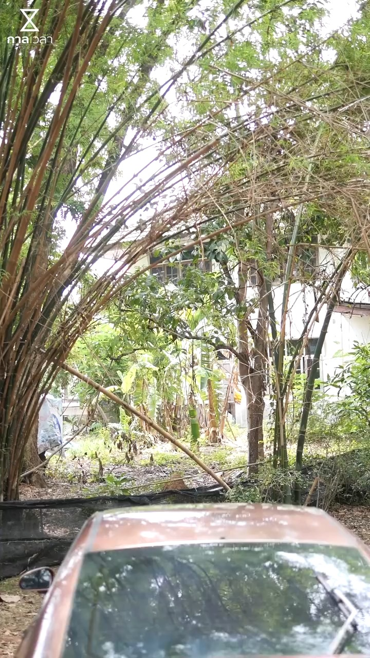 [ครบชุด] 1209252 สามีแบบนี้ กับแม่ คุณจะเลือกใคร เต็มรื่อง กาลเวลา สตูดิโอ