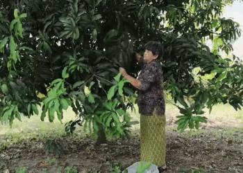 [ครบชุด] PI10353 Facebook (27)