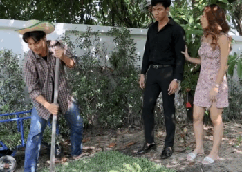 [ครบชุด] PI10379 เธอปลอมตัวเป็นหญ้าทำไม ละครสั้น