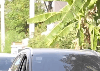 [ครบชุด] XU10338 เกมแค้นราชินี