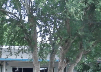 [ครบชุด] XU10155 วิมานนี้