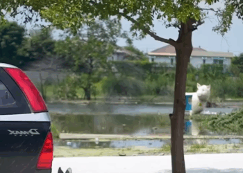 [ครบชุด] XU10157 เขาเป็นแฟนหนู