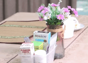 [ครบชุด] XU10362 ลูกเ นรคุณ ชาตินี้ไม่มีวันเจ ริญ