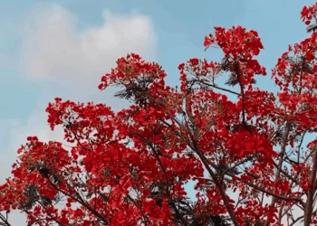 [ครบชุด] XU10032 ยอมจน แต่ไม่ยอมเสียศักดิ์ศรี