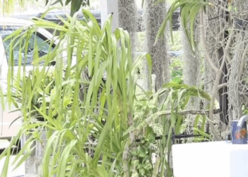 [ครบชุด] XU10281 ขอเงิuดีๆไม่ให้ ก็ต้องใช้วิธีนี้แหละ