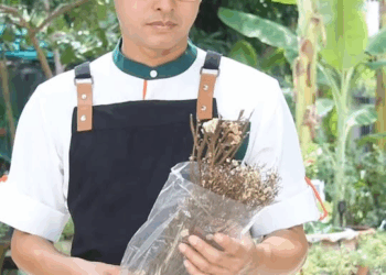 [ครบชุด] 1010080 อาหารจานนี้