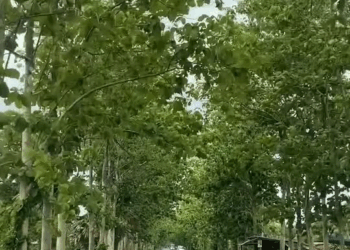 [ครบชุด] 1010082 ฉันโตแล้ว อย่ามาสั่งสอนฉัน