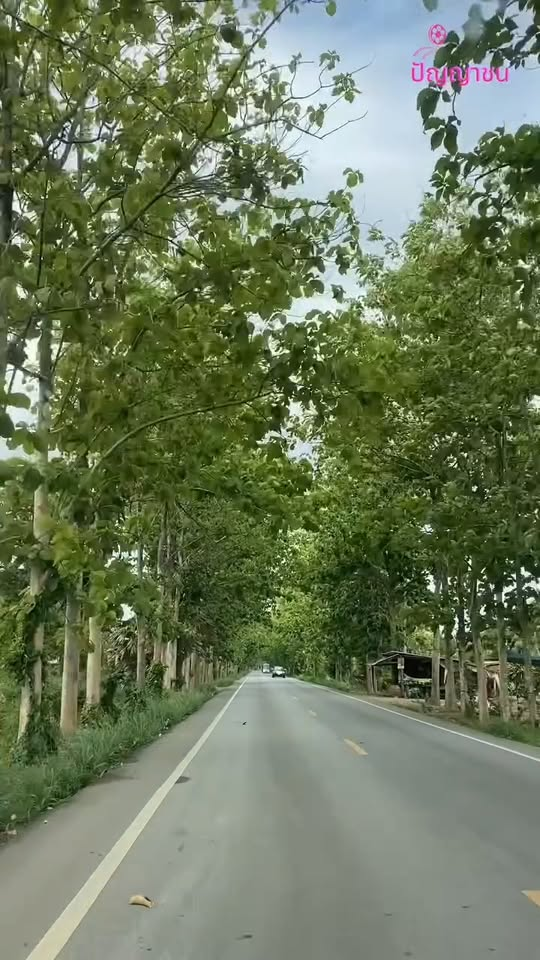 [ครบชุด] 1010082 ฉันโตแล้ว อย่ามาสั่งสอนฉัน