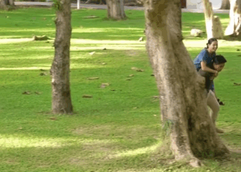 [ครบชุด] 1010101 แอบรักพนักงานล้างรถ ซึ้งมาก