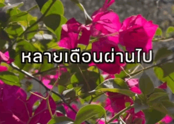 [ครบชุด] 1010128 แค่ได้มองห่างๆ ก็สุขใจแล้ว