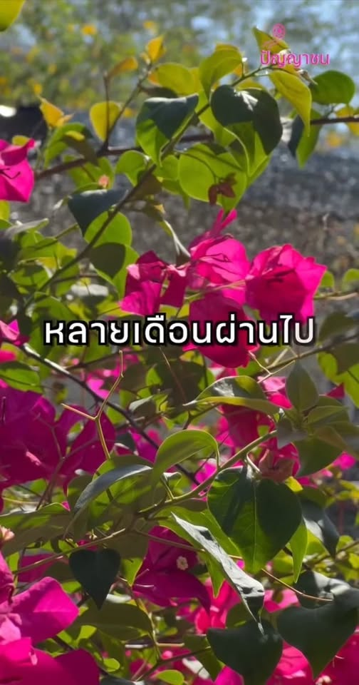 [ครบชุด] 1010128 แค่ได้มองห่างๆ ก็สุขใจแล้ว