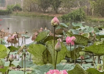 [ครบชุด] 1010159 จะดูถูกลูกใคร เช็คประวัติก่อนจะได้ไม่หน้าแตก