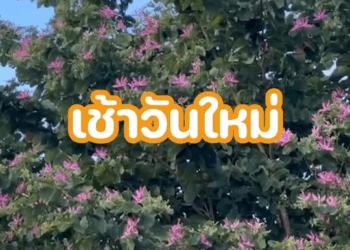 [ครบชุด] 1010199 ค่าของหมอ วัดที่อะไร ในเมื่อฉันทำเต็มที่แล้ว