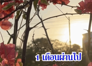 [ครบชุด] 1010258 ฉันทำทุกอย่างเพื่อความสุขสบายเท่านั้น