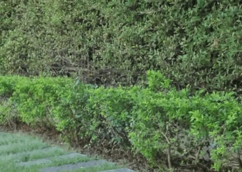 [ครบชุด] 1010322 อย่าคิดถึงเพื่อน แค่ตอนที่ตัวเองลำบาก