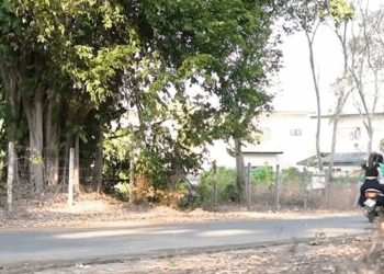 [ครบชุด] PI10073 ผัวใครรวยกว่า ผัวใครดีกว่า