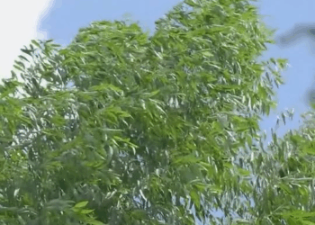 [ครบชุด] PI10104 โดนขอทานเอาน้ำมาสาดใส่หน้าเฉยเลย เขาทำแบบนั้นทำไมดูให้จบ กระดิ่งสตูดิโอ